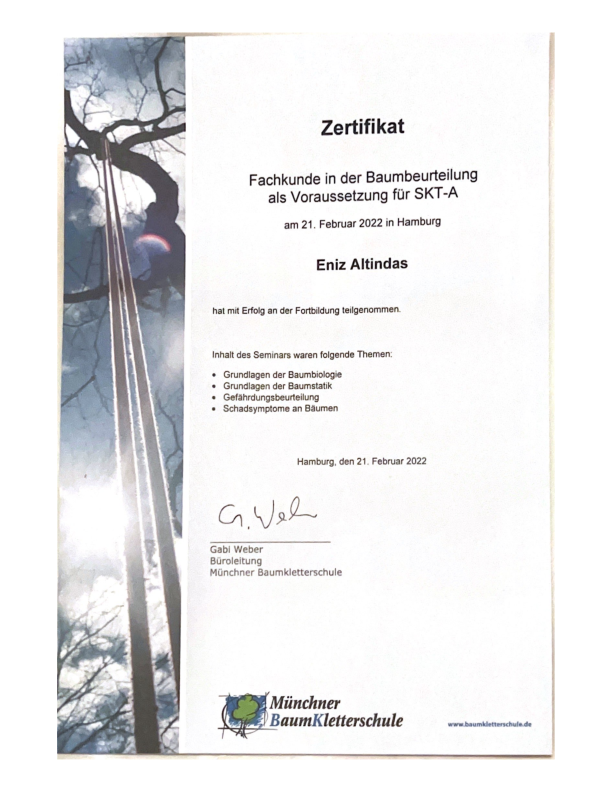 Fachkunde Baumbeurteilung