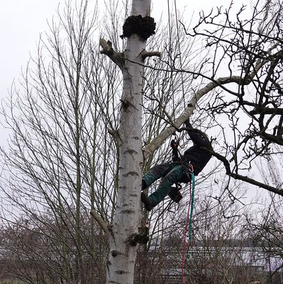 Seilklettertechnik